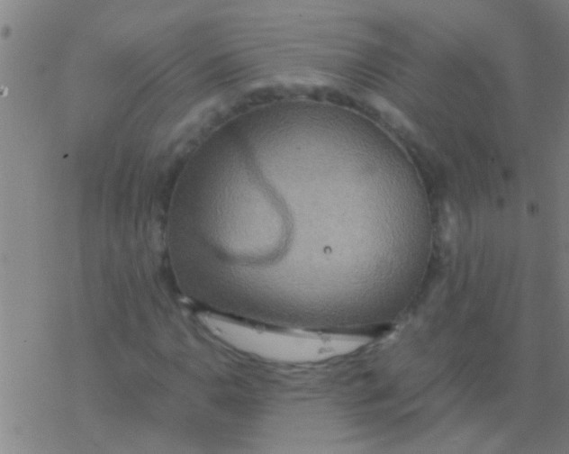 X0000077361110200611101632