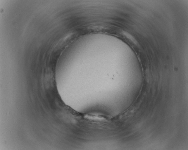 X0000077361111200611101632