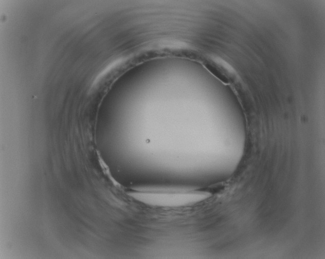 X0000077361112200611101632