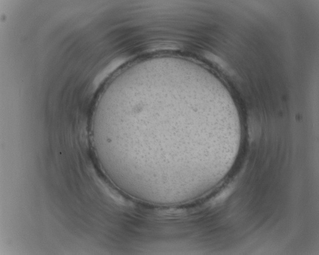 X0000077361113200611101632