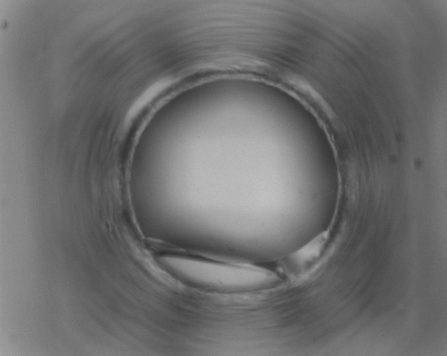 X0000077361114200611101632