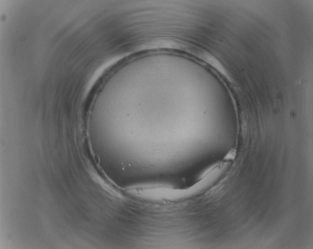 X0000077361116200611101632