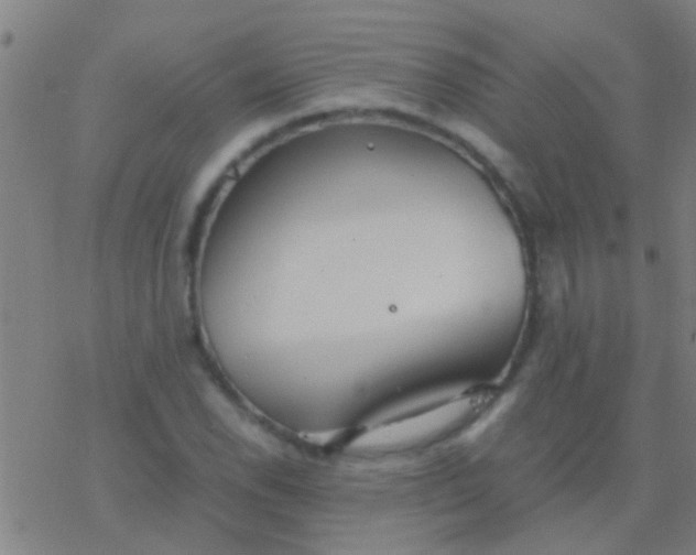 X0000077361118200611101632