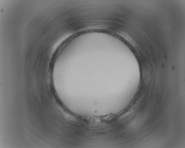 X0000077361119200611101632