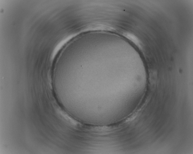 X0000077361120200611101632