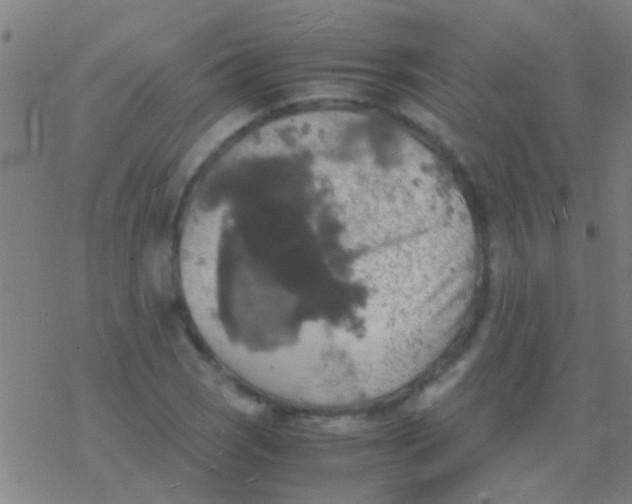 X0000077361121200611101632