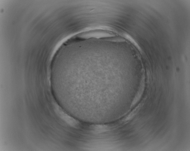 X0000077361124200611101632