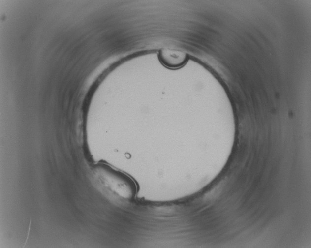 X0000077361126200611101632