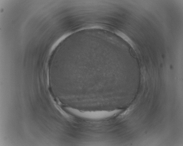 X0000077361127200611101632