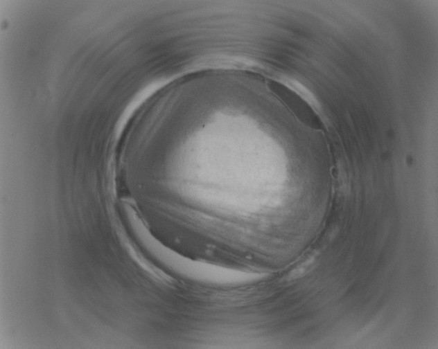 X0000077361128200611101632