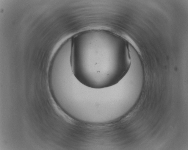 X0000077361132200611101632