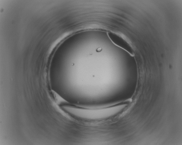 X0000077361134200611101632