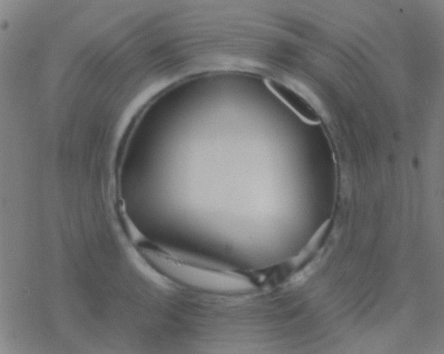 X0000077361136200611101632