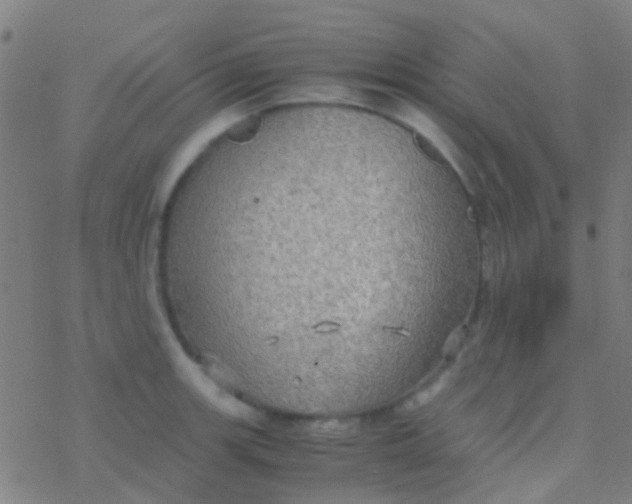 X0000077361139200611101632