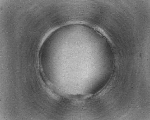 X0000077361140200611101632