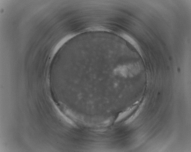 X0000077361141200611101632