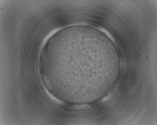 X0000077361143200611101632