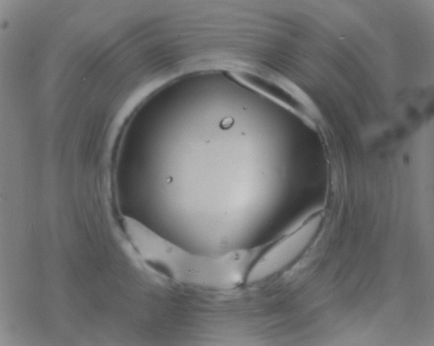 X0000077361144200611101632