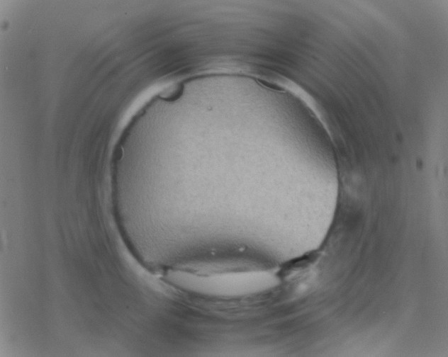 X0000077361147200611101633