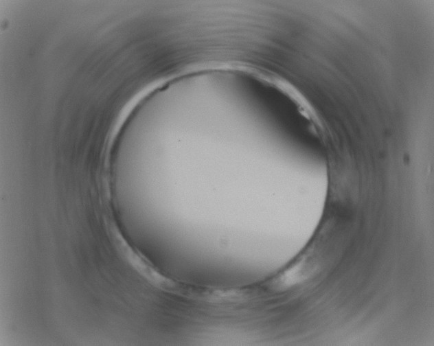 X0000077361148200611101633