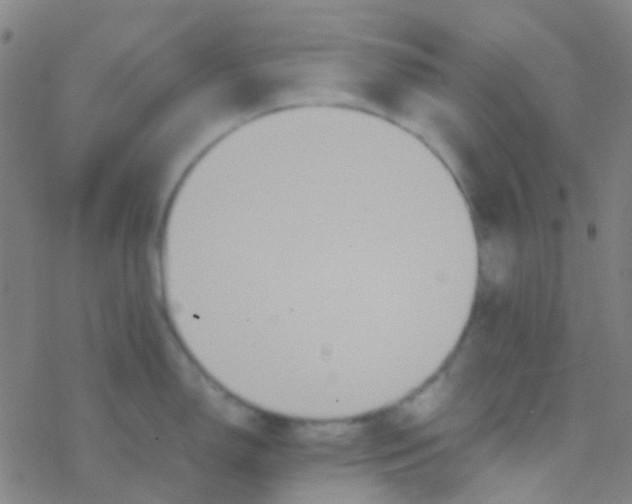 X0000077361150200611101633