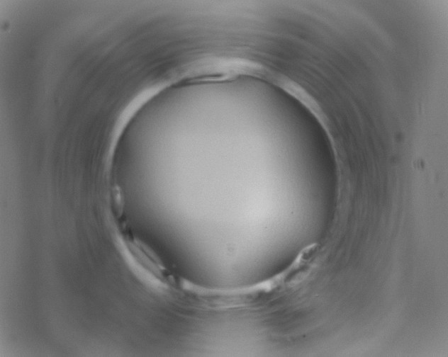 X0000077361152200611101633