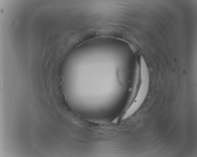 X0000077361153200611101632