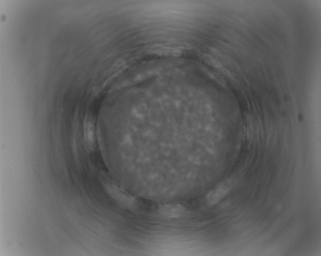 X0000077361154200611101632