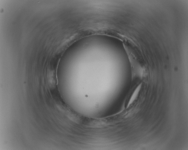 X0000077361156200611101632