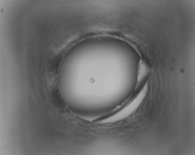 X0000077361157200611101632