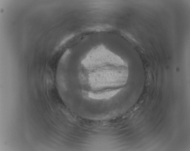 X0000077361158200611101632