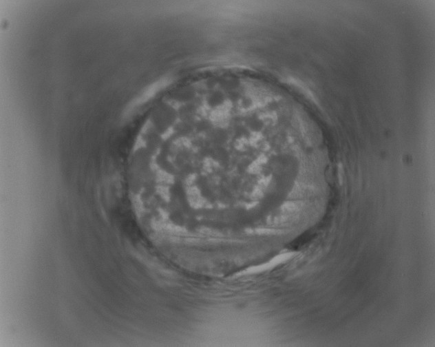 X0000077361159200611101632