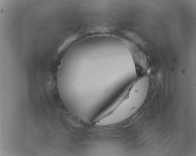 X0000077361160200611101632