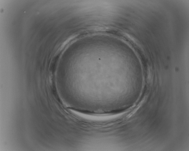 X0000077361161200611101632