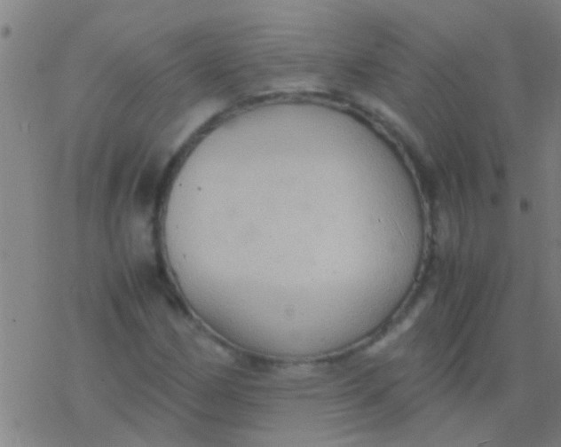 X0000077361162200611101632