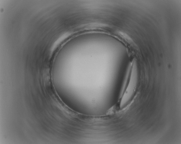 X0000077361164200611101632