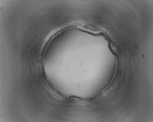 X0000077361168200611101632