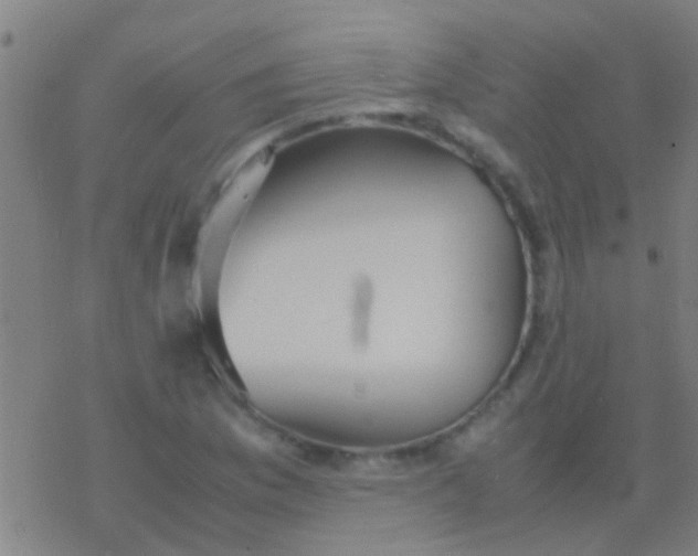 X0000077361169200611101632