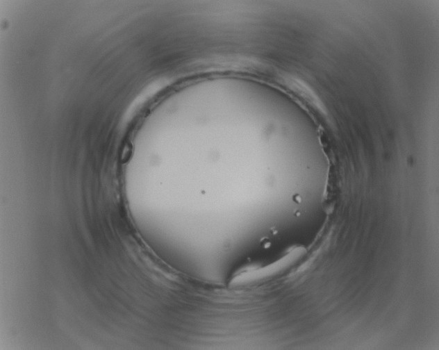 X0000077361172200611101632