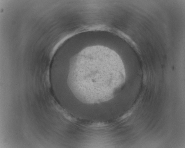 X0000077361174200611101631