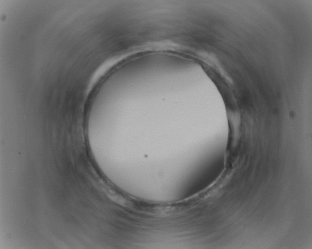 X0000077361176200611101631