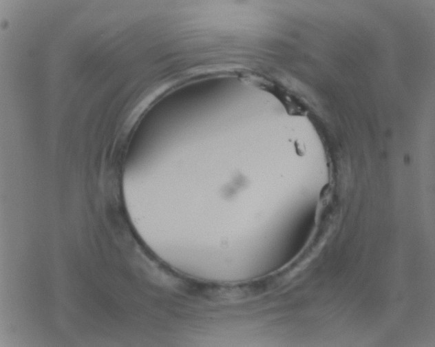 X0000077361177200611101631