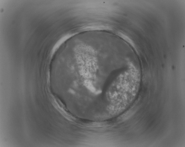 X0000077361179200611101631