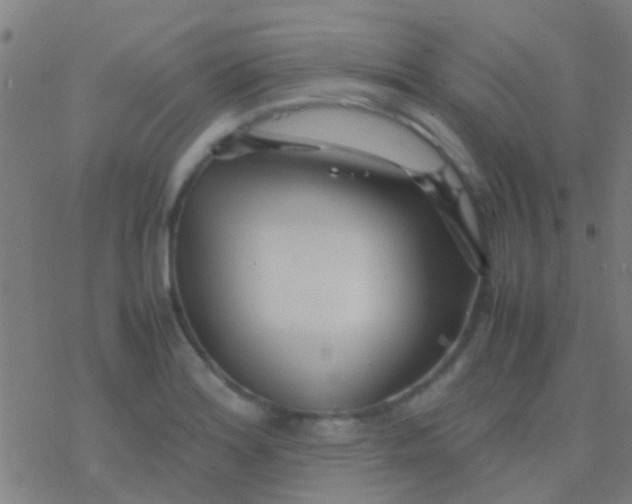 X0000077361180200611101631