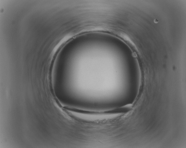 X0000077361181200611101631