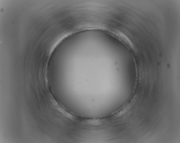 X0000077361182200611101631