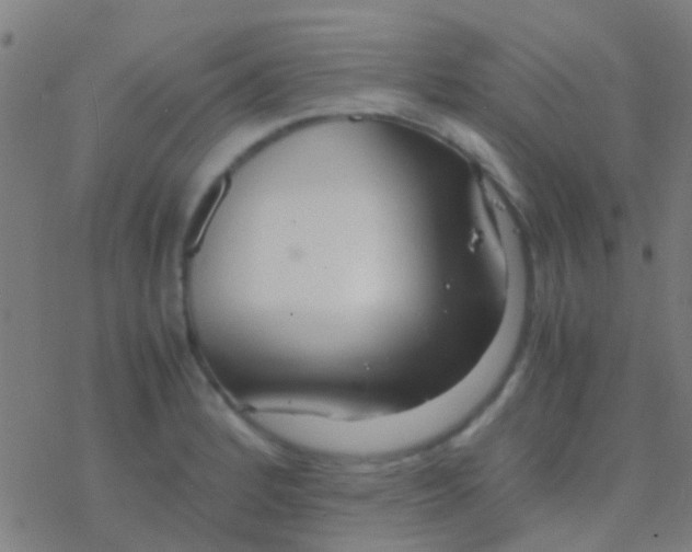 X0000077361184200611101631