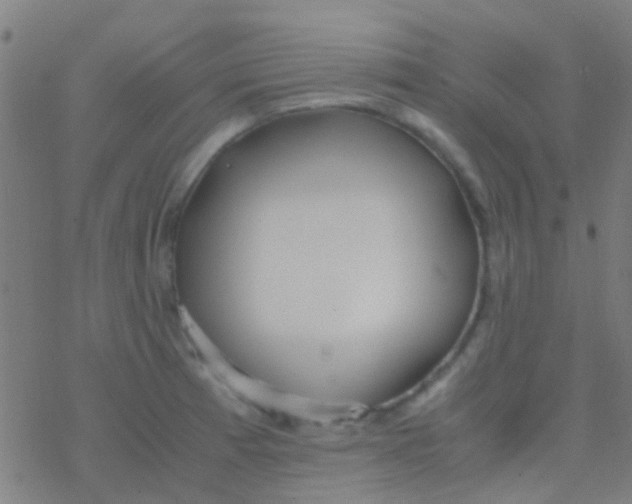 X0000077361185200611101631