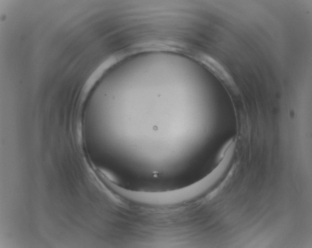 X0000077361188200611101631