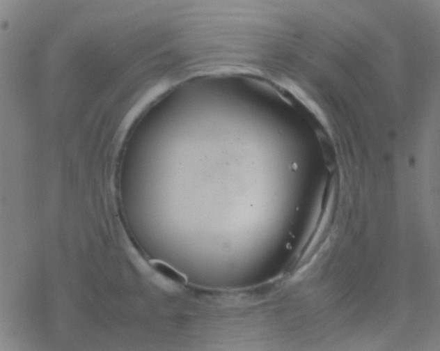 X0000077361189200611101631